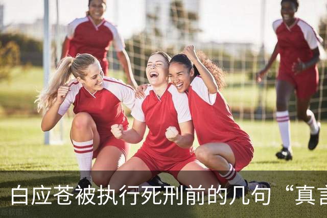 白应苍被执行死刑前的几句“真言”，却难掩罪责